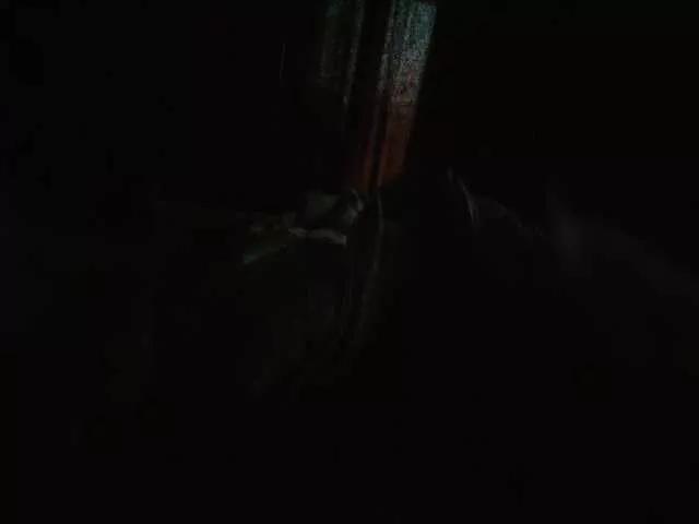 Lolik901 on BongaCams 