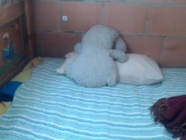 Meganny2023 on BongaCams 
