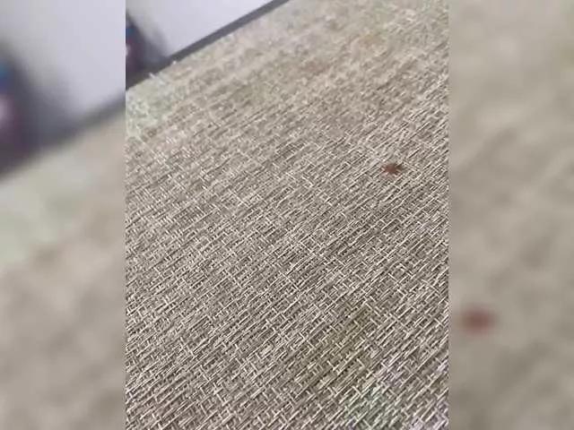 Xyligana on BongaCams 