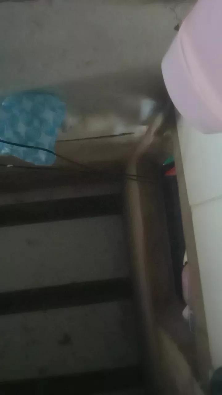 agatha6_hot on Cam4 