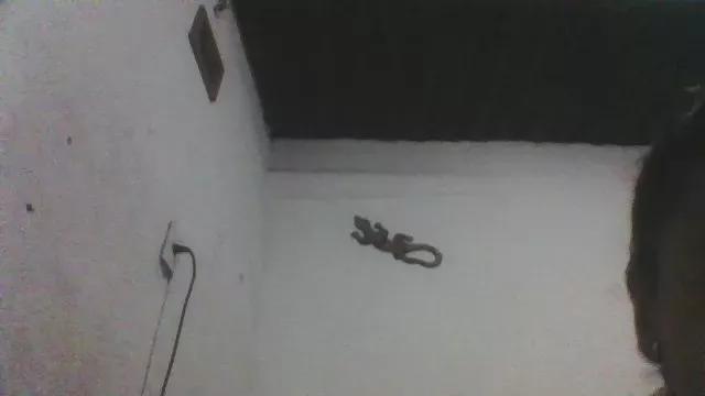 casal4i20sexy on Cam4 