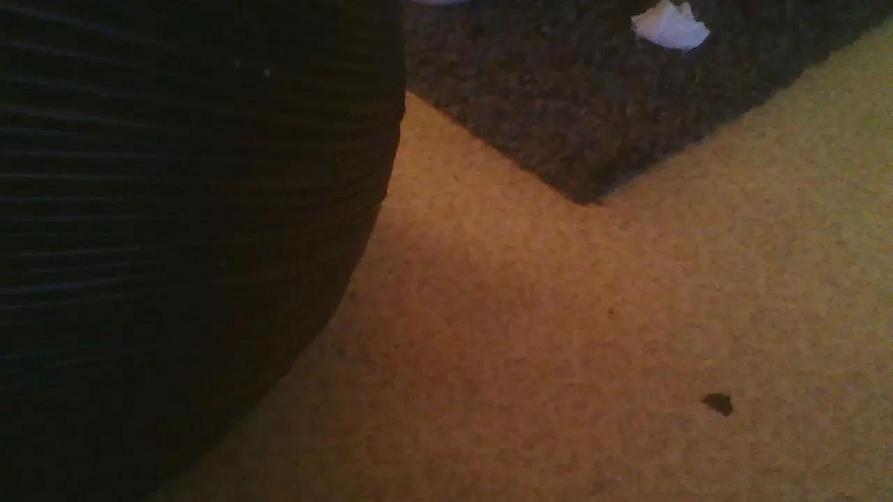 niceychani2 on Cam4 