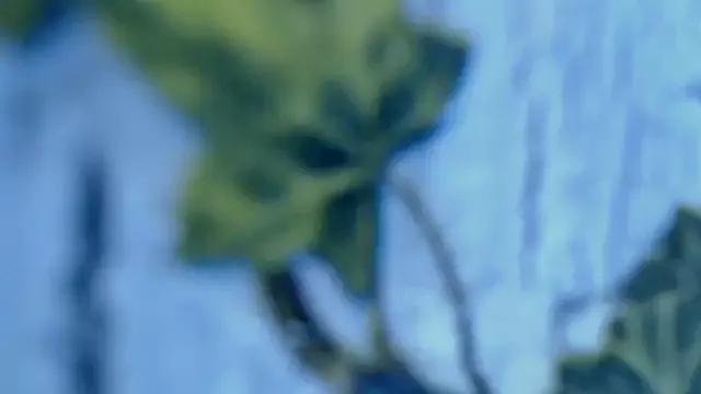 Diablica41 on StripChat