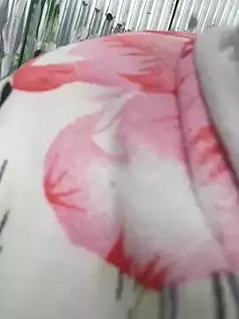 hanamor on StripChat