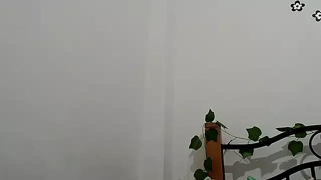 hanamor on StripChat