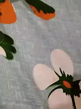 Hot_modal on StripChat