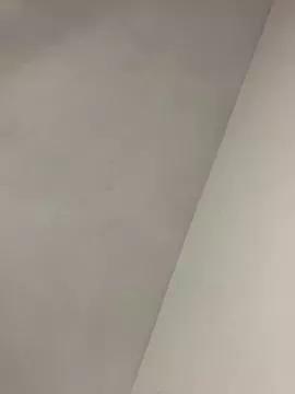 MichelleFerry_ on StripChat