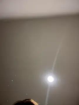 MichelleFerry_ on StripChat